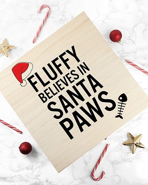 Personalised Pets Santa Paws Christmas Eve Box