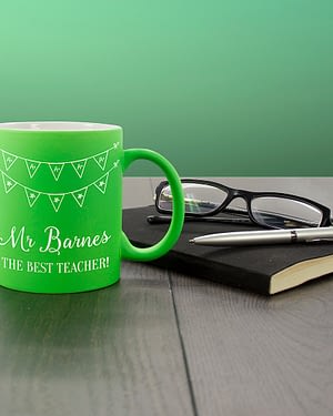 The Best Teacher Matte Coloured Mug